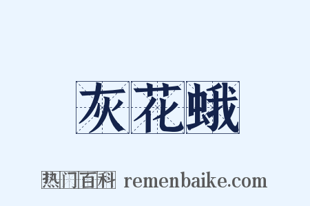 灰花蛾是什么意思的图片